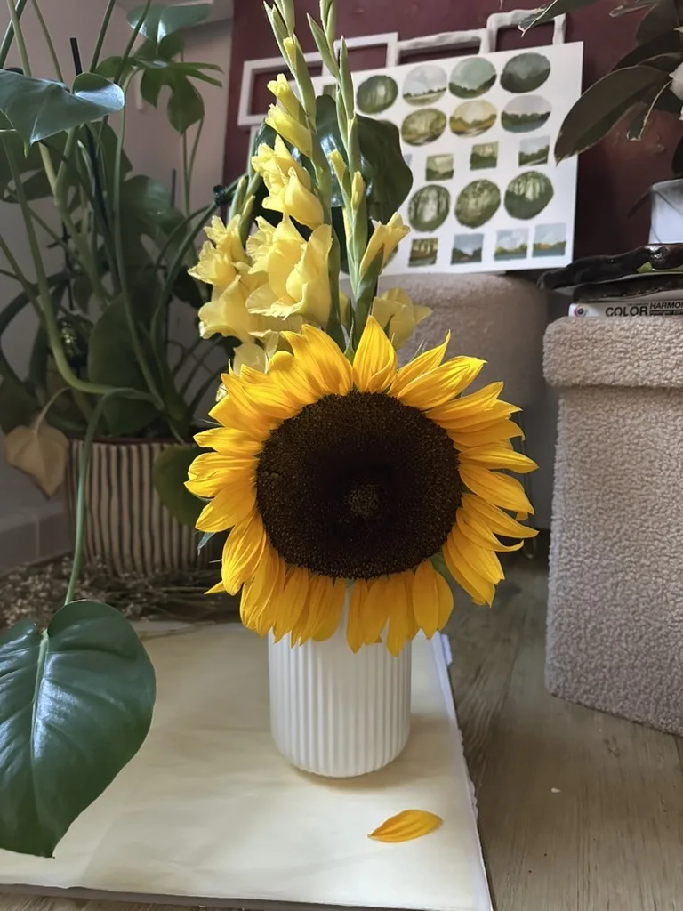 A sunflower in a white vase on the studio desk